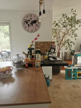 séjour moderne Cuisine avec îlot