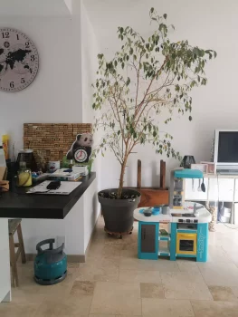 séjour moderne Cuisine avec îlot